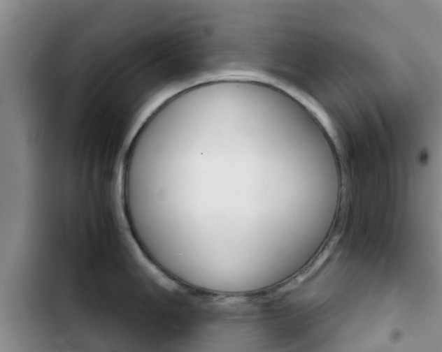 X0000102771006200808180951