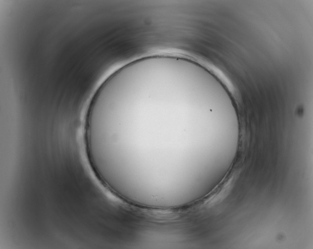 X0000102771007200808180951