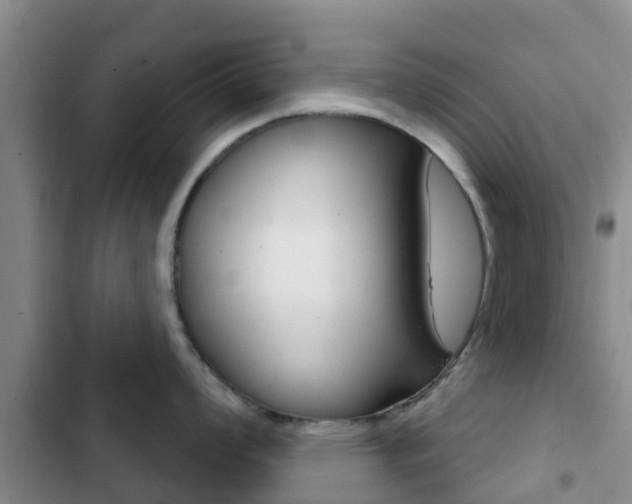 X0000102771008200808180951