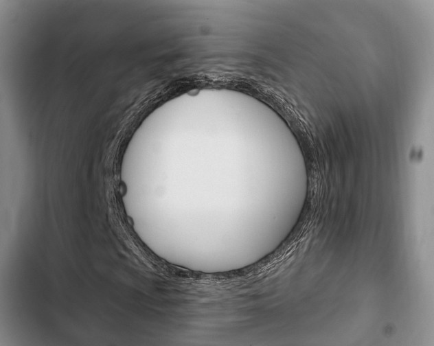 X0000102771009200808180950