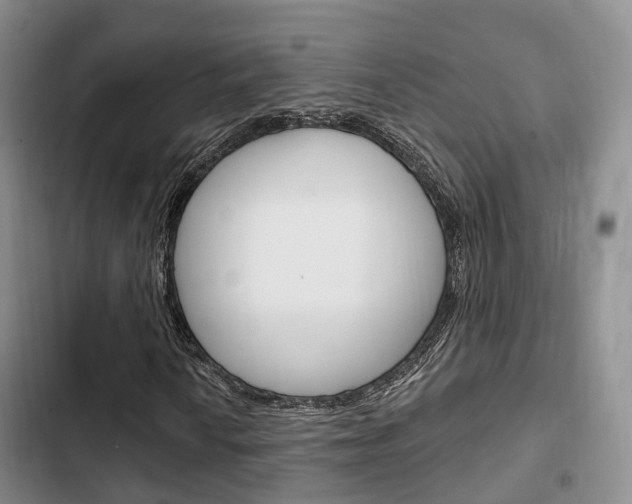 X0000102771010200808180950