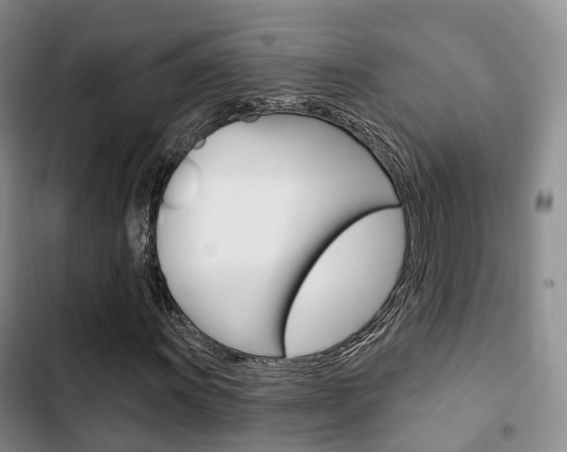 X0000102771011200808180950