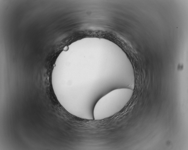 X0000102771013200808180950