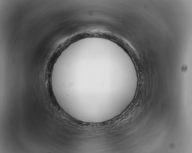 X0000102771016200808180950