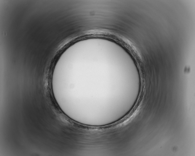 X0000102771017200808180950