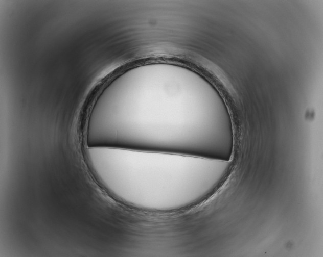 X0000102771018200808180950