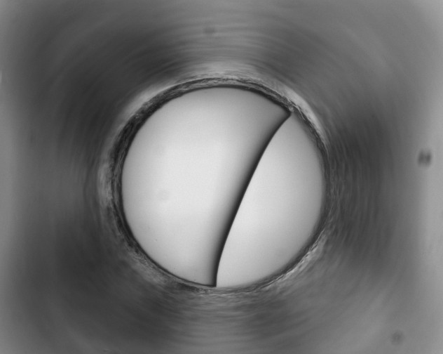 X0000102771019200808180950