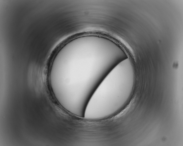 X0000102771021200808180950