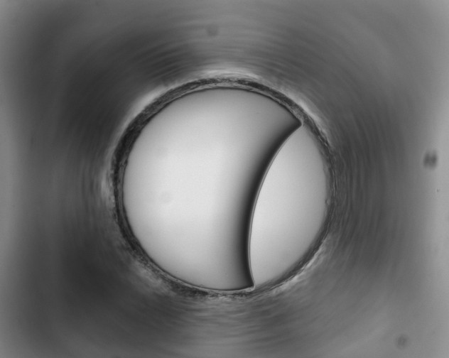 X0000102771022200808180950