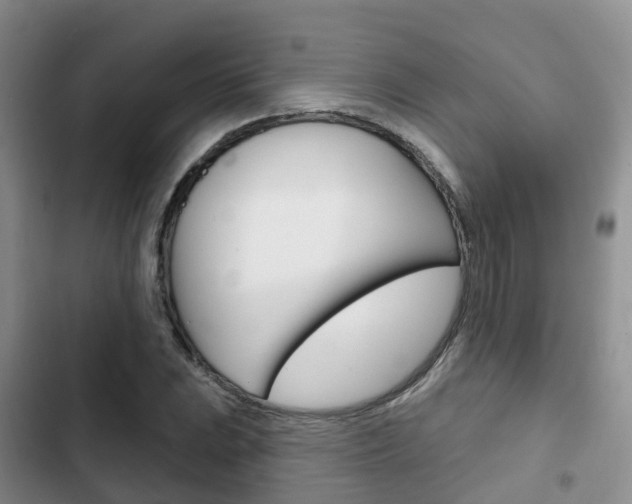 X0000102771023200808180950