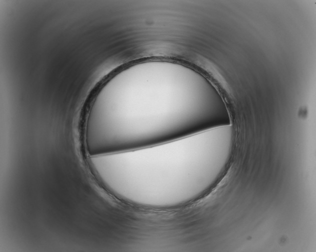 X0000102771026200808180950