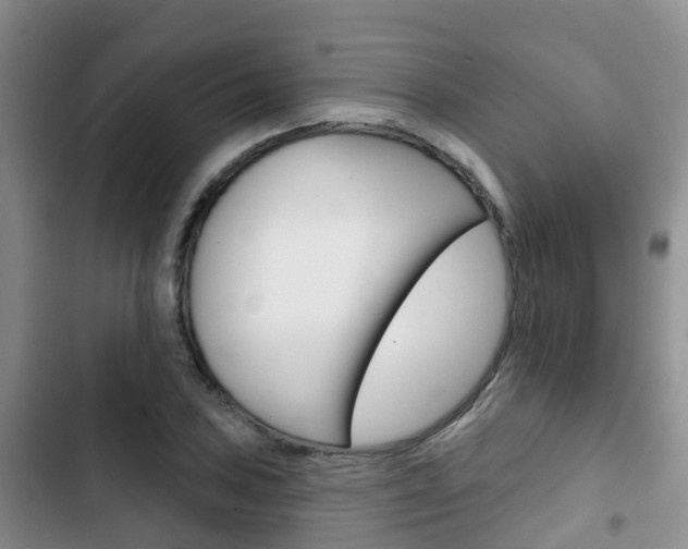 X0000102771027200808180950
