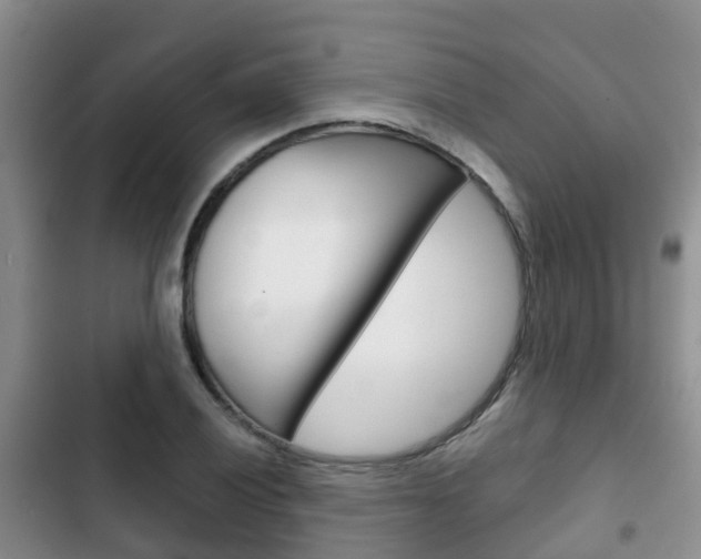 X0000102771028200808180950
