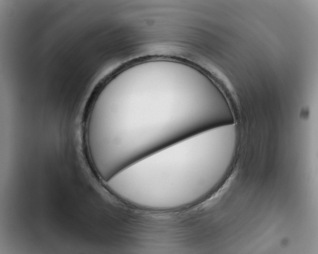X0000102771029200808180950