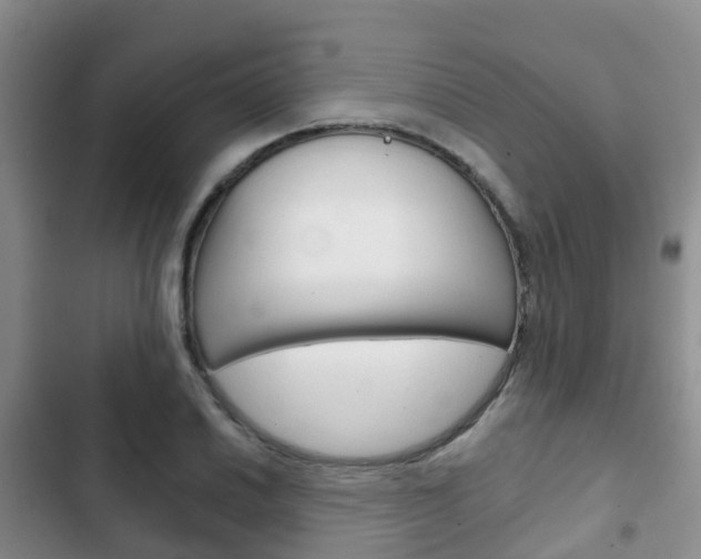 X0000102771030200808180950