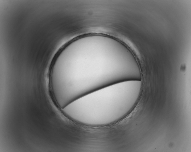 X0000102771032200808180950
