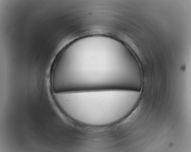 X0000102771034200808180950