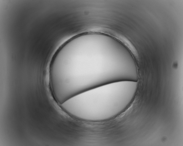 X0000102771036200808180950