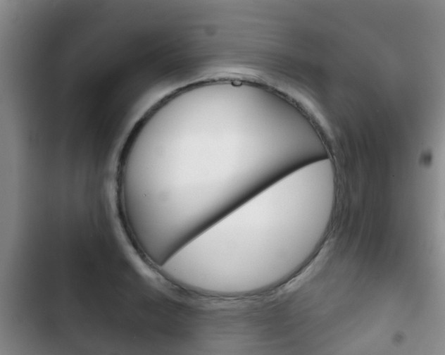 X0000102771038200808180950