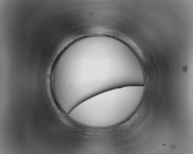 X0000102771039200808180950
