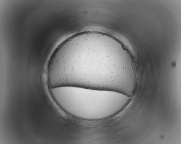 X0000102771040200808180950
