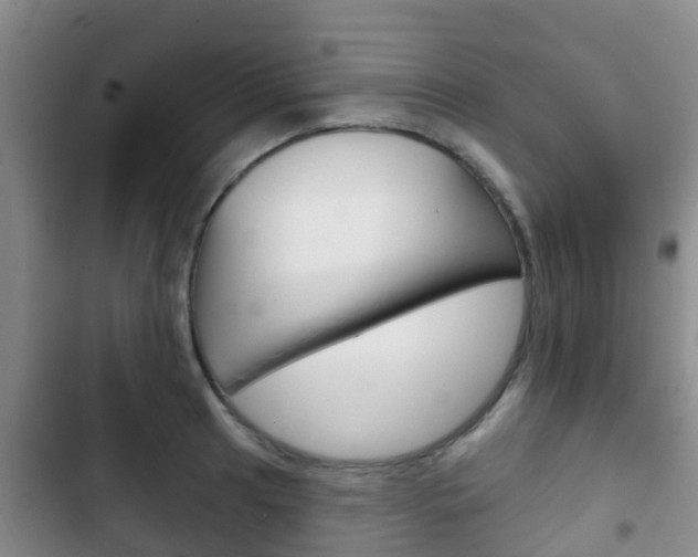 X0000102771041200808180950