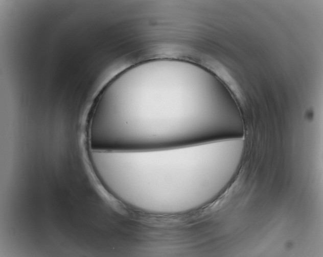 X0000102771042200808180950