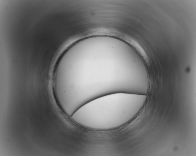 X0000102771043200808180950
