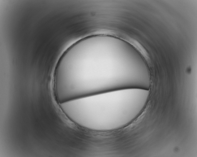 X0000102771044200808180950