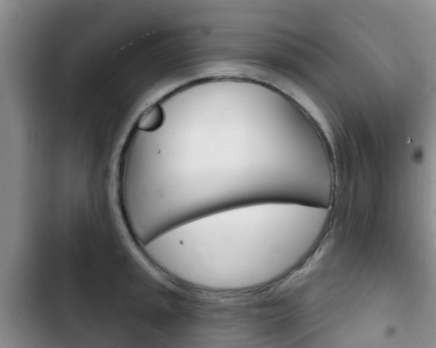 X0000102771045200808180950