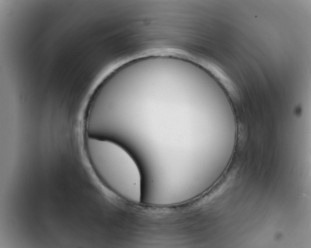 X0000102771046200808180950