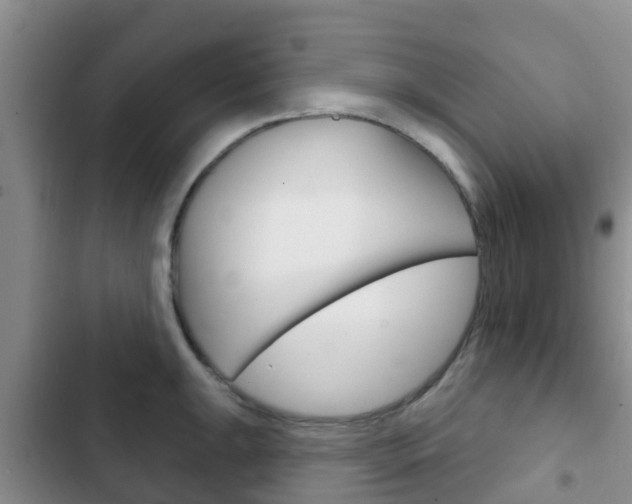 X0000102771047200808180950