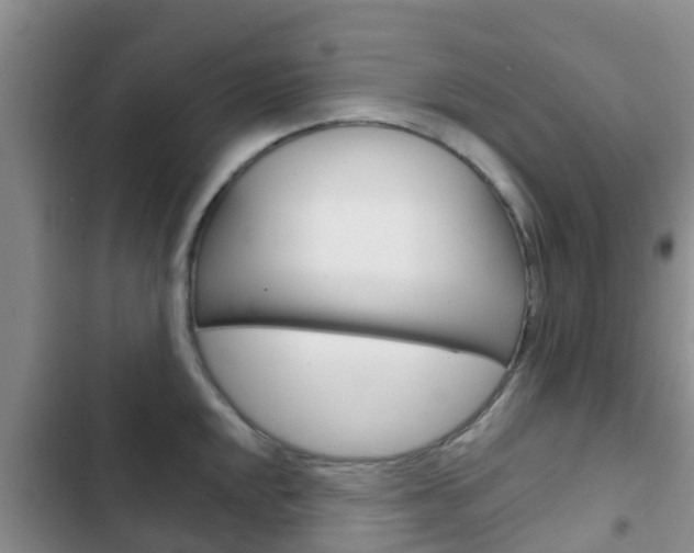 X0000102771048200808180950