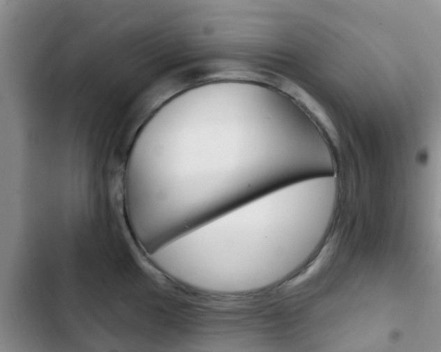 X0000102771049200808180950