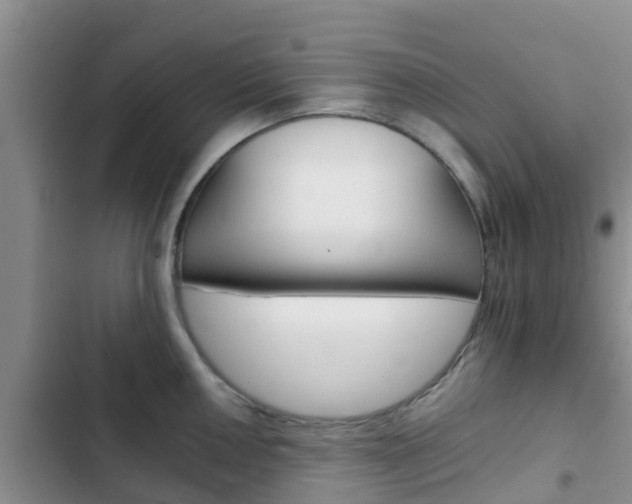 X0000102771050200808180950