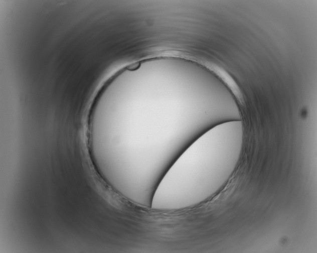X0000102771051200808180950