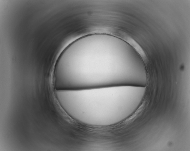 X0000102771052200808180950