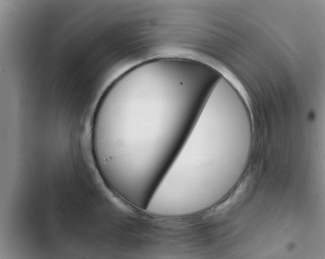 X0000102771053200808180950