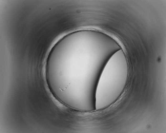 X0000102771054200808180950