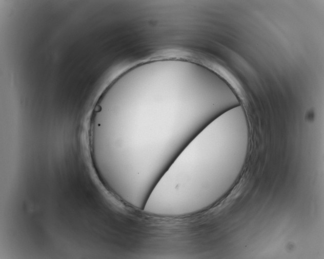 X0000102771055200808180951