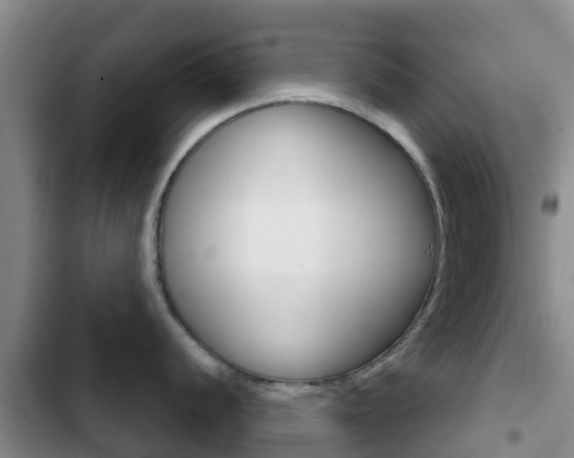 X0000102771056200808180951