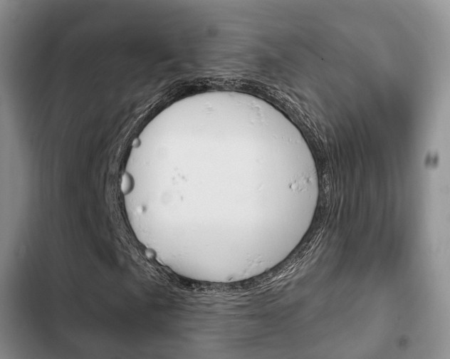 X0000102771057200808180950
