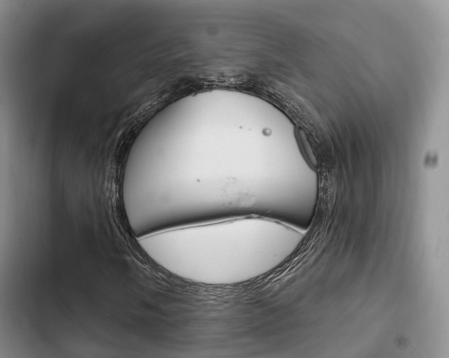 X0000102771058200808180950