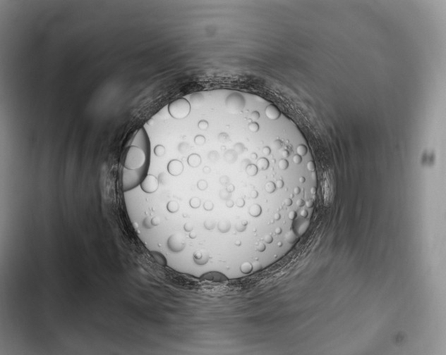 X0000102771059200808180950