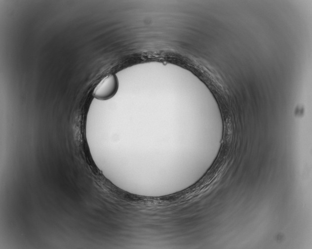 X0000102771060200808180950