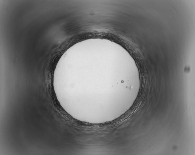 X0000102771061200808180950