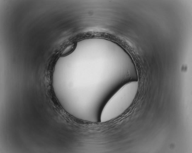 X0000102771062200808180950