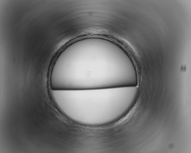 X0000102771065200808180950