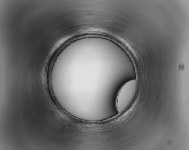 X0000102771066200808180950