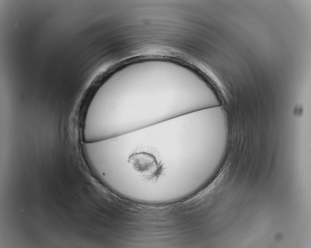 X0000102771067200808180950